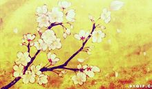 原创学生作文：《为什么我的眼里常含泪水》