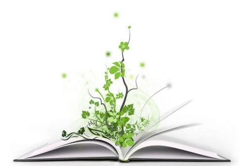 简单易行的一个方法，小学生写作文，不再成为流水账 3