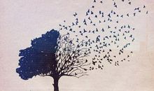 四年级作文：假如世界上没有了树木