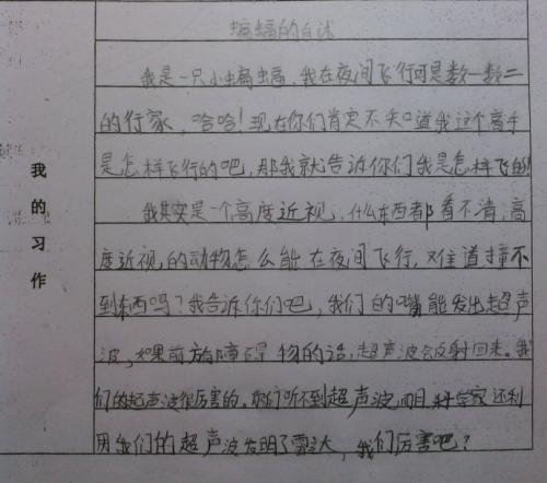蝙蝠的自述 动物的自述作文300字