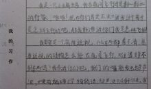 蝙蝠的自述 动物的自述作文300字