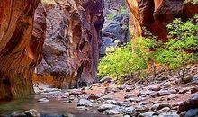 小学五年级作文：我的姥爷“张有理”