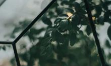 作文在线丨美丽的校园