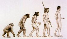 三年级作文入门：修改，怎么改