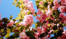 精妙绝伦的作文开头，满分作文少不了它，第十八天寒假摘抄