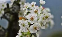 高考作文辅导11：胸怀世界，学以报国