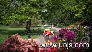 关于英国 “最绿色” 大学