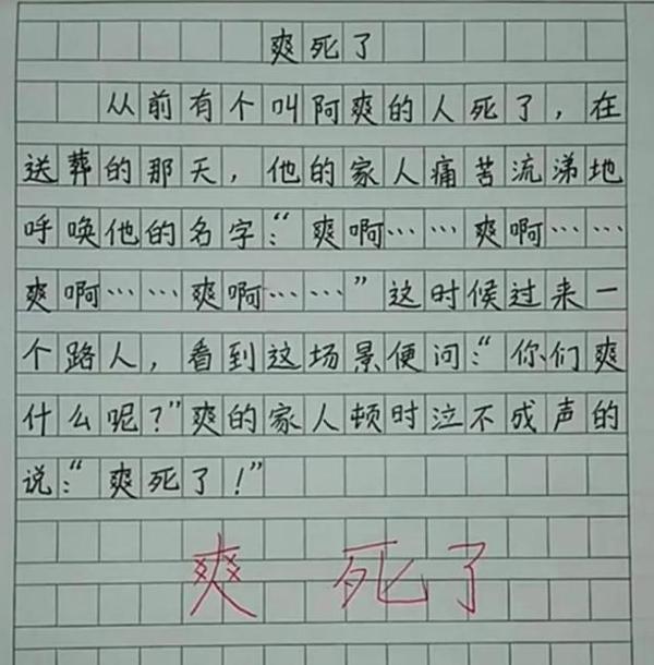 孩子,你写的这玩意叫作文?我还以为是个段子,网友:笑出内伤 5