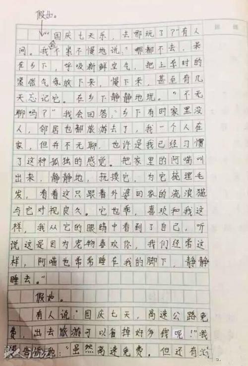 我在坚守作文800字记叙文