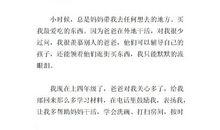 父亲的爱作文300字