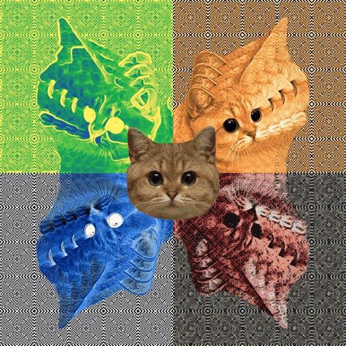 我家的猫咪咕噜作文