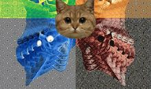 我家的猫咪咕噜作文