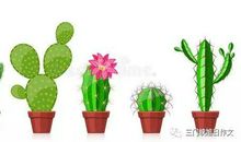 【四年级优秀同步作文推荐榜】水栋鑫/旭日教育五年级作文班