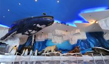 皇家极地海洋世界 小学生记叙文400字