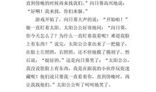 向日葵的宣言 赞美向日葵的优秀作文500字