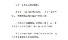 冬夜 高一作文900字