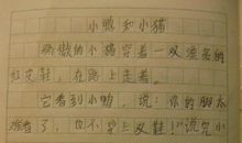 我的小猫 淘气的小猫作文500字