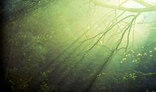 清晨随想 清晨随笔作文400字