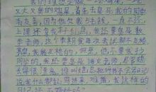 小学生记一次游戏作文1000字
