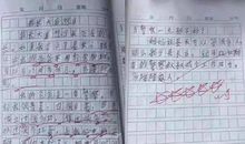 我向同学们抱歉 初中生心情作文400字