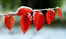 作文首尾段落集合，考试高分不是问题