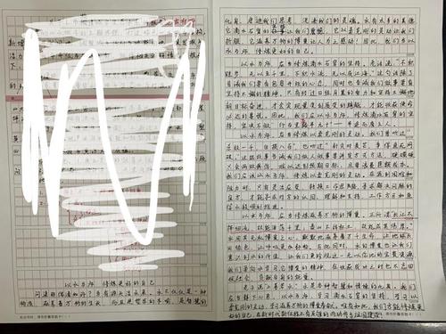 2020国考不见“大作文” 省考又该何处去