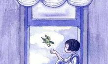 遗失了一只猫 小猫走丢了作文300字