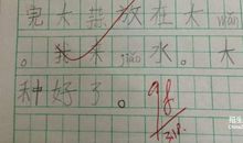 小学生日记五则300字