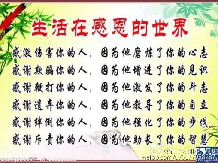 感恩的句子50句