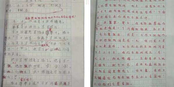 话说武汉作文