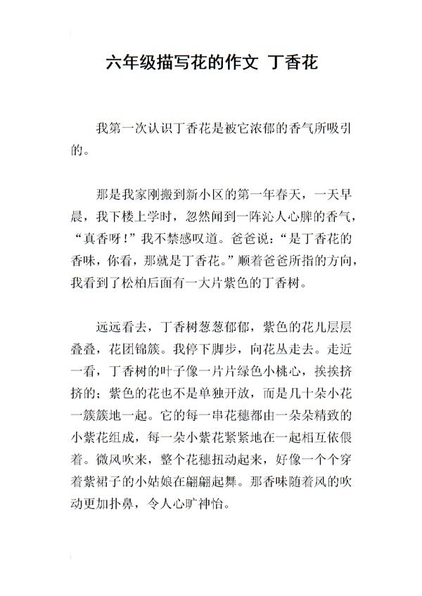丁香花初中作文
