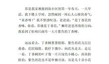 丁香花初中作文