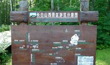 回忆长白山 美丽的长白山300字作文