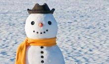 有关“宽容”主题作文：《宽容，善良之基》