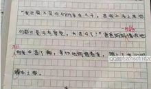 我的妹妹会变脸 四年级写人作文400字