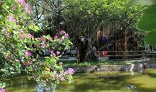 水果湖公园半日游 公园游玩作文500字