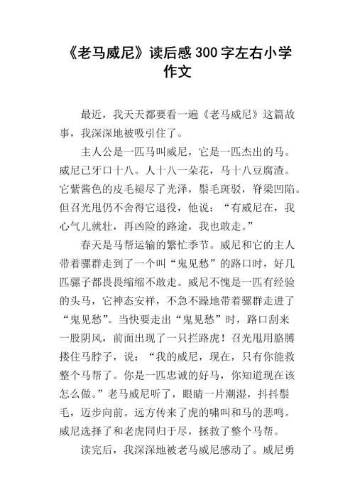 文明的标语 可怜的老马300字作文
