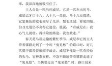 文明的标语 可怜的老马300字作文