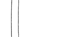 小记者同步作文