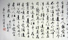 春之爱，同予者何人 高中生喜爱春天作文600字