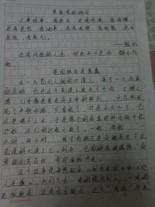 我的小书屋作文800字