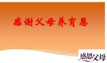 成长莫忘养育恩 学会感恩作文400字
