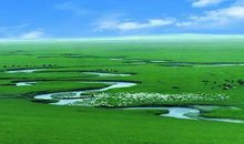 大草原 美丽的大草原作文600字