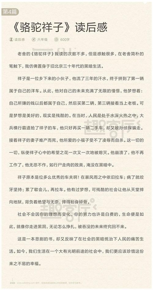 《骆驼祥子》的读后感范文