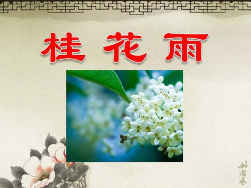 《桂花雨》读后感3篇