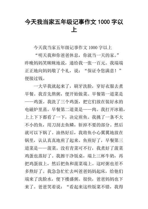 今日我当家的叙事作文