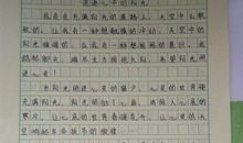 追逐阳光的日子高中作文