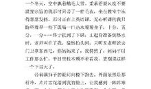 雪中情 下雪天心情作文500字