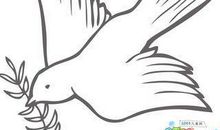 巴格达没有橄榄枝 关于战争和平的故事作文