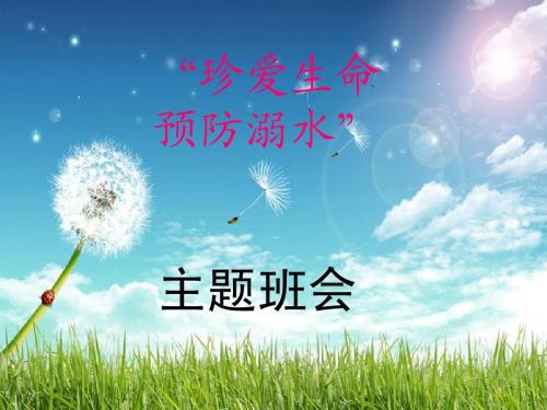 珍爱生命预防溺水主题班会教案